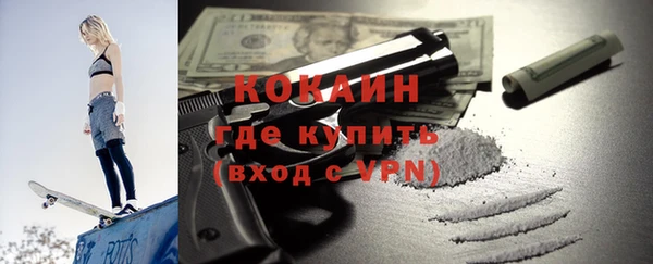 индика Алексин