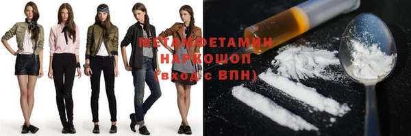 индика Алексин