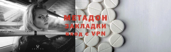 индика Алексин