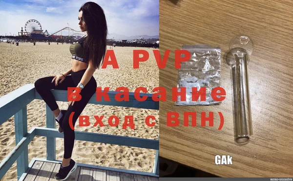 индика Алексин