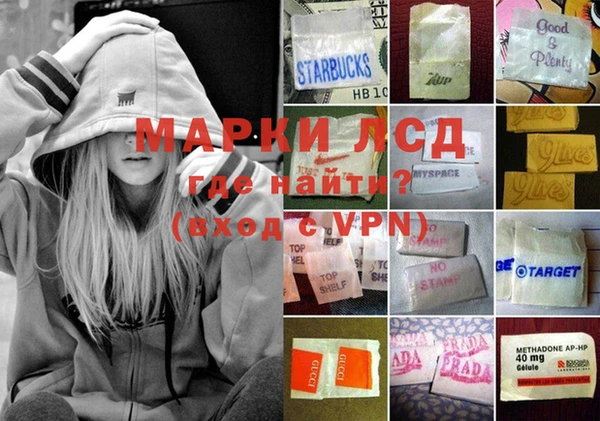 индика Алексин