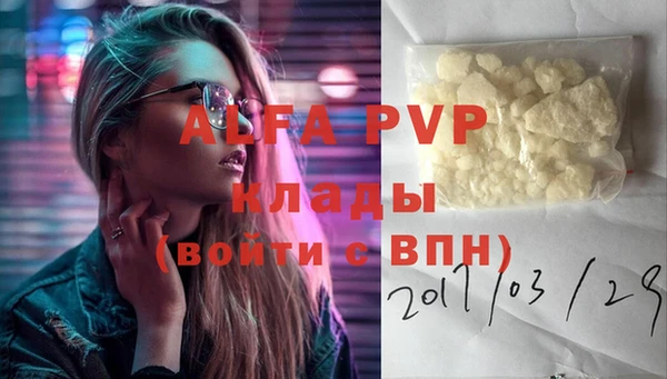 индика Алексин
